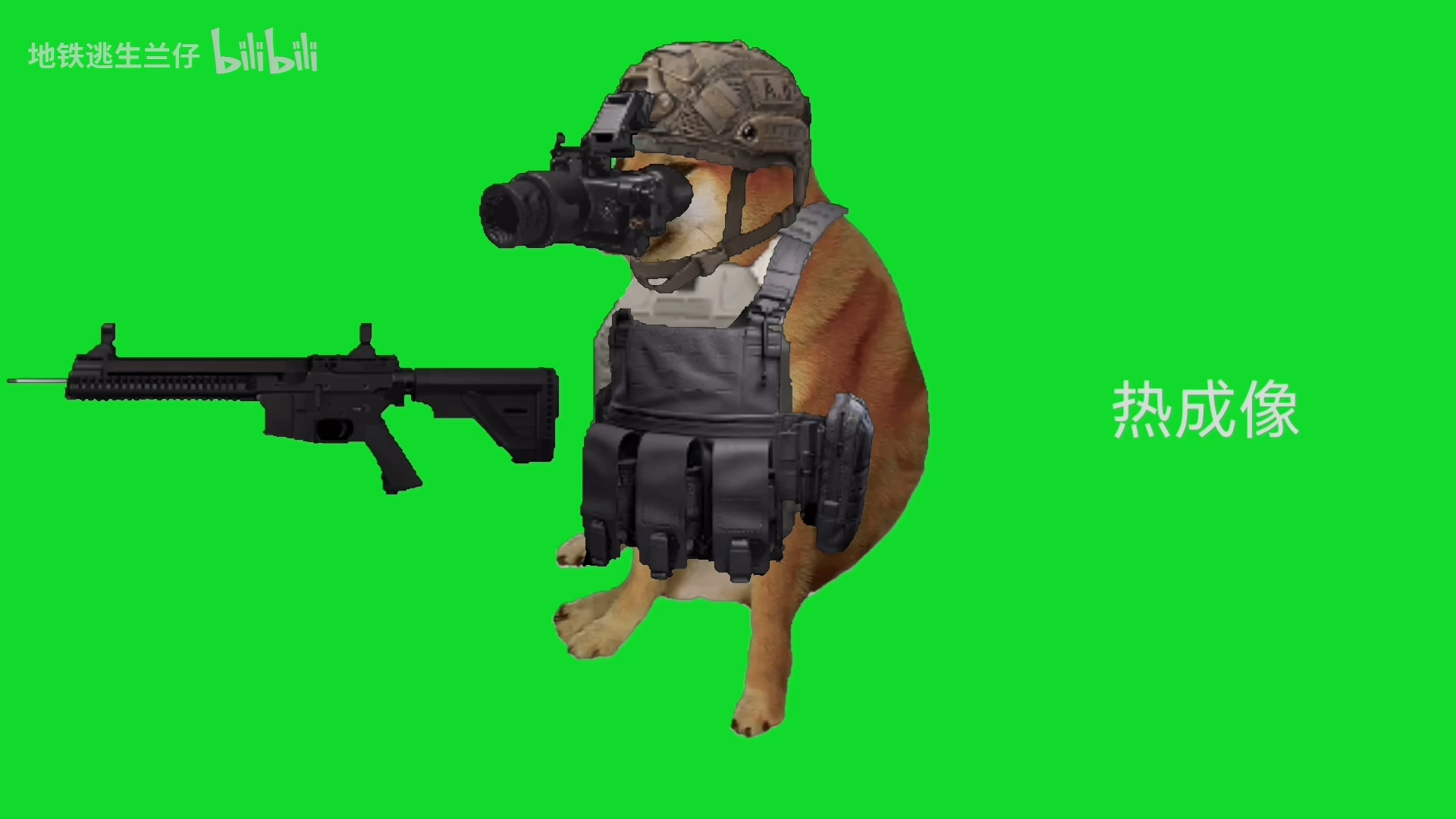 狗狗五套装备!酷炫护航!