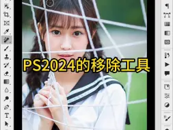 Download Video: ps2024去除网状遮挡物