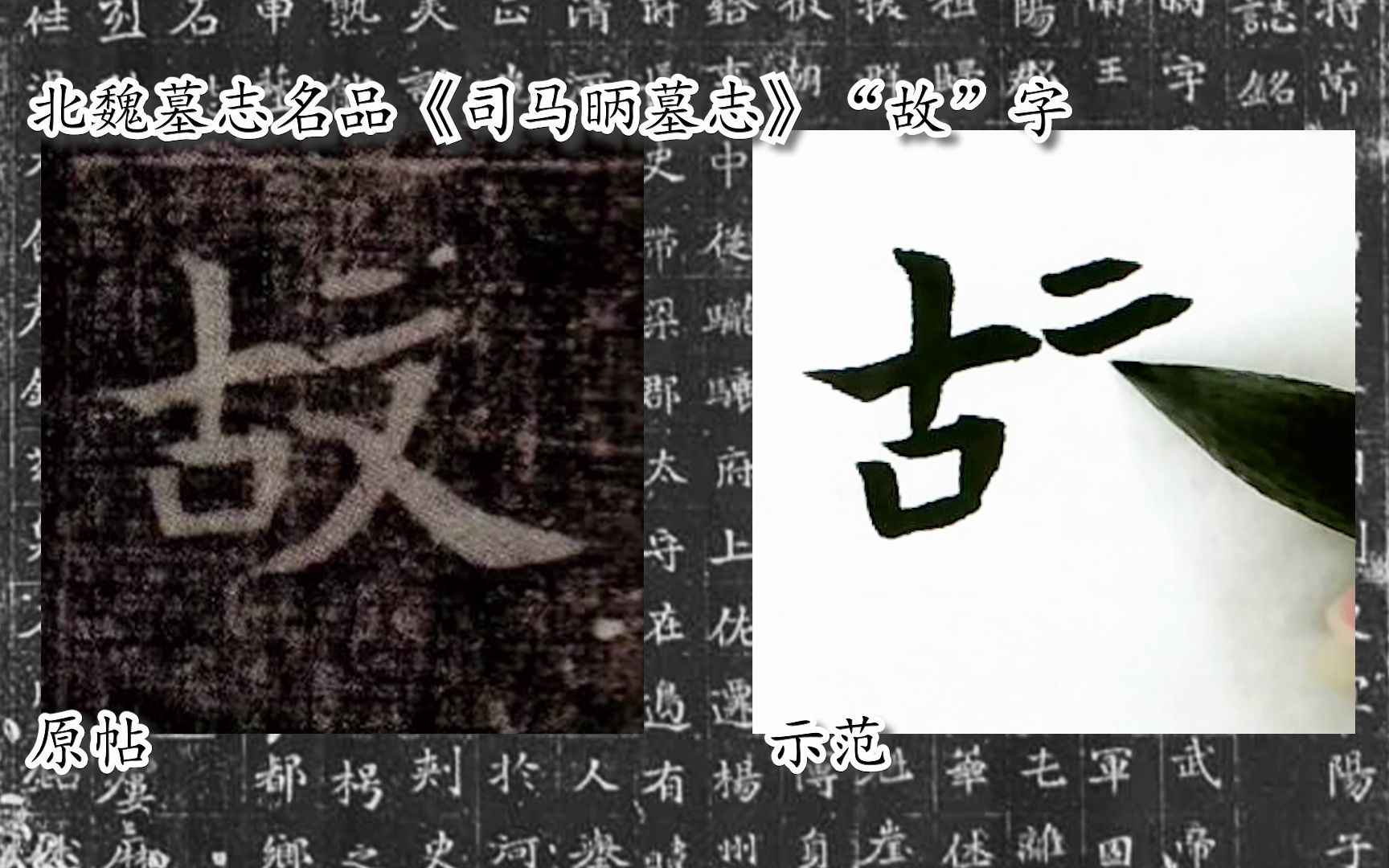 [图]【每日一字】书法系列，周东芬临北魏楷书《司马昞墓志》“故”字