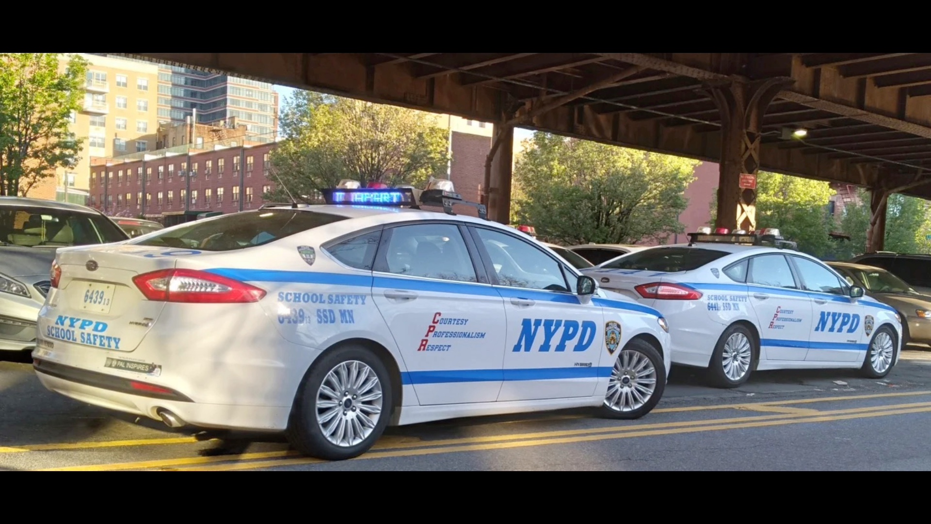 纽约警车牌图片