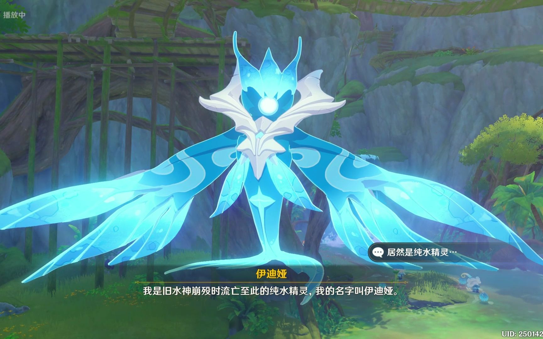 完全猜不到呢~伊迪娅是纯水精灵呢~51(ˊ40ˋ*)