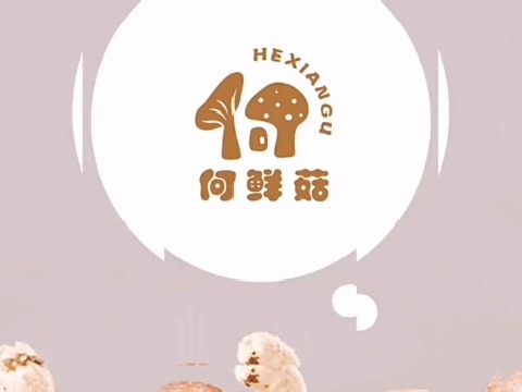 你有属于自己的姓氏专属品牌logo吗?哔哩哔哩bilibili