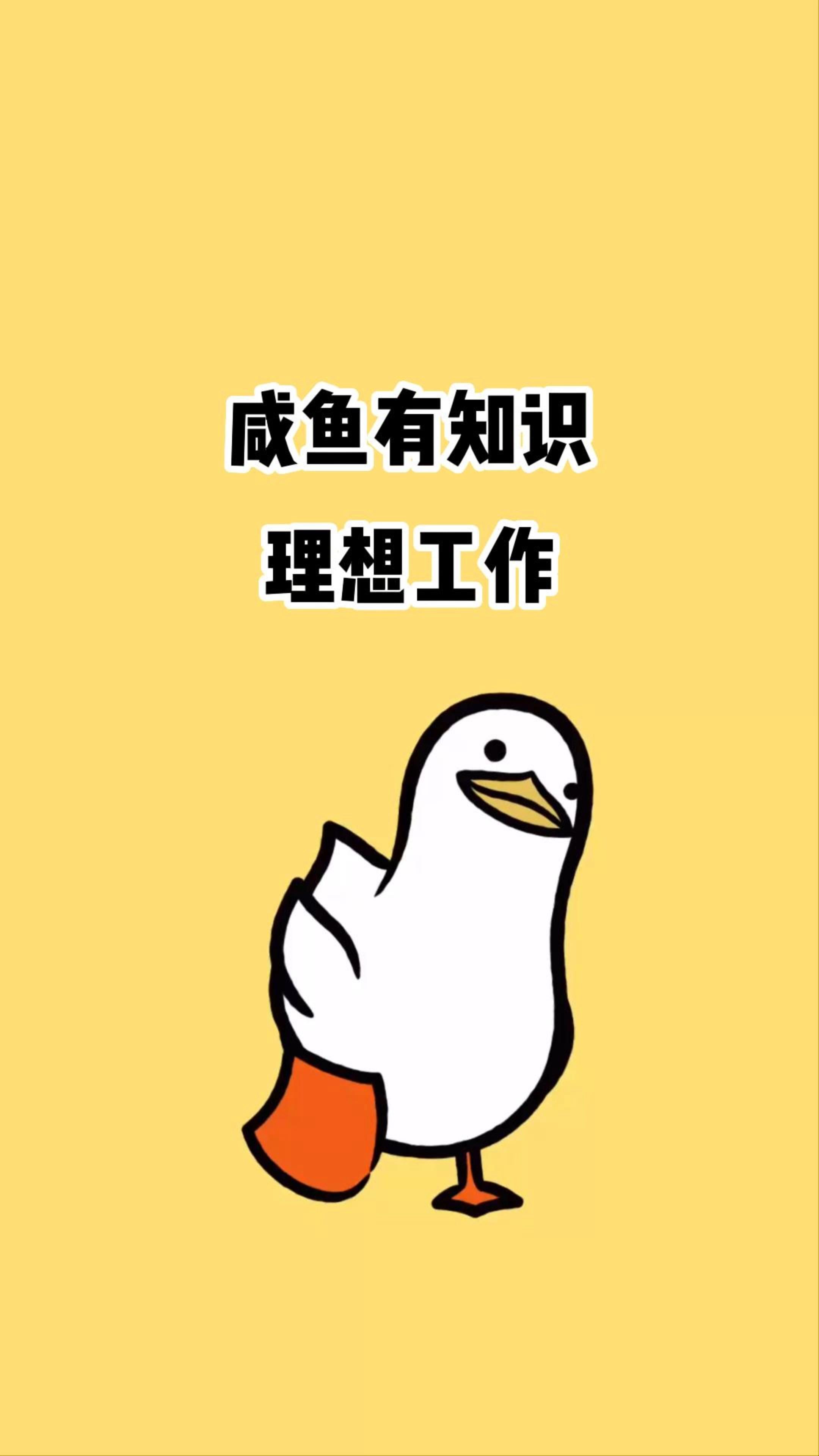 理想工作哔哩哔哩bilibili