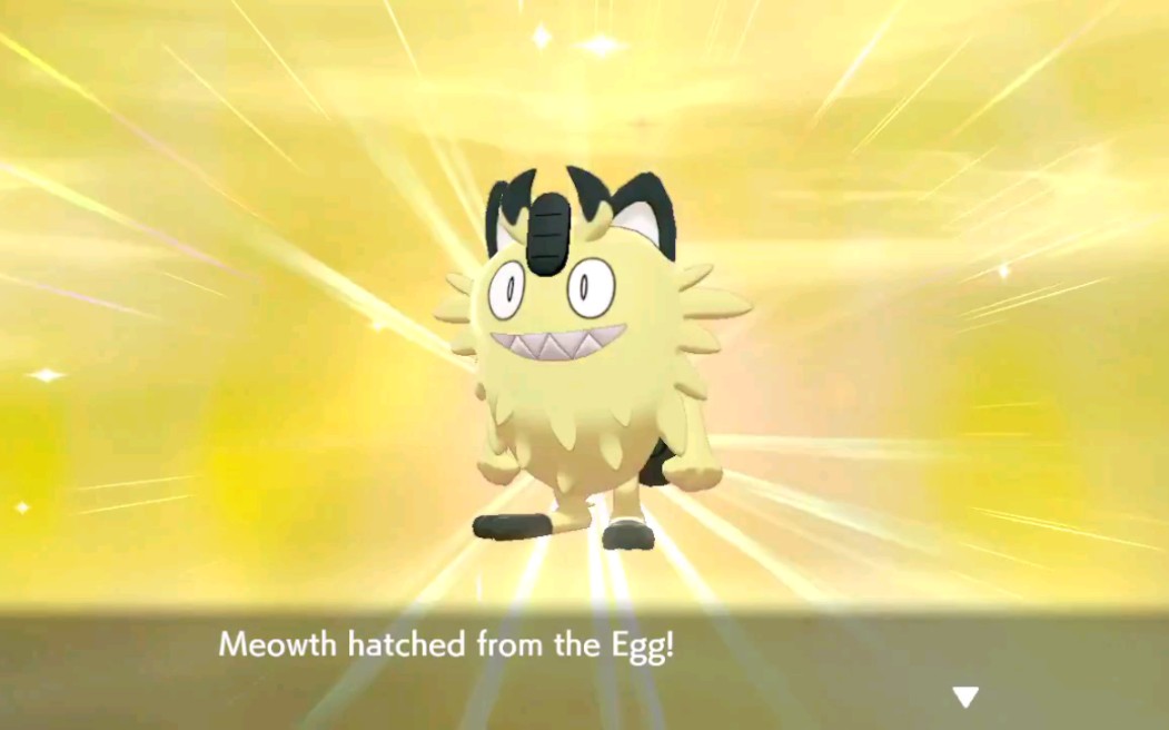 宝可梦剑盾路闪蛋闪合集第一弹15p