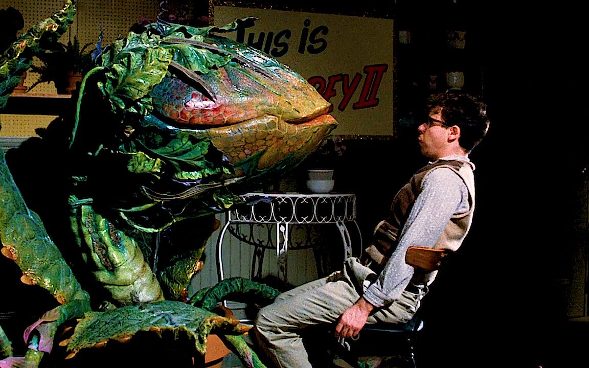 食人花爱喝人血,只要你喂饱它,就会变成壹万富豪——异形奇花