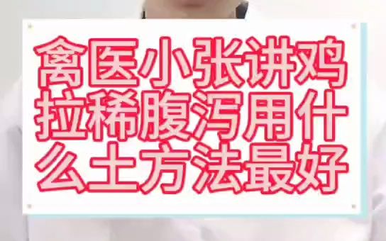 禽医小张讲鸡拉肚子用什么土方法最好养的鸡出现拉稀症状不要慌学会这几个土方法不用麻烦别人鸡拉稀怎么治疗最快鸡拉肚子怎么办用什么药鸡拉白痢快速...