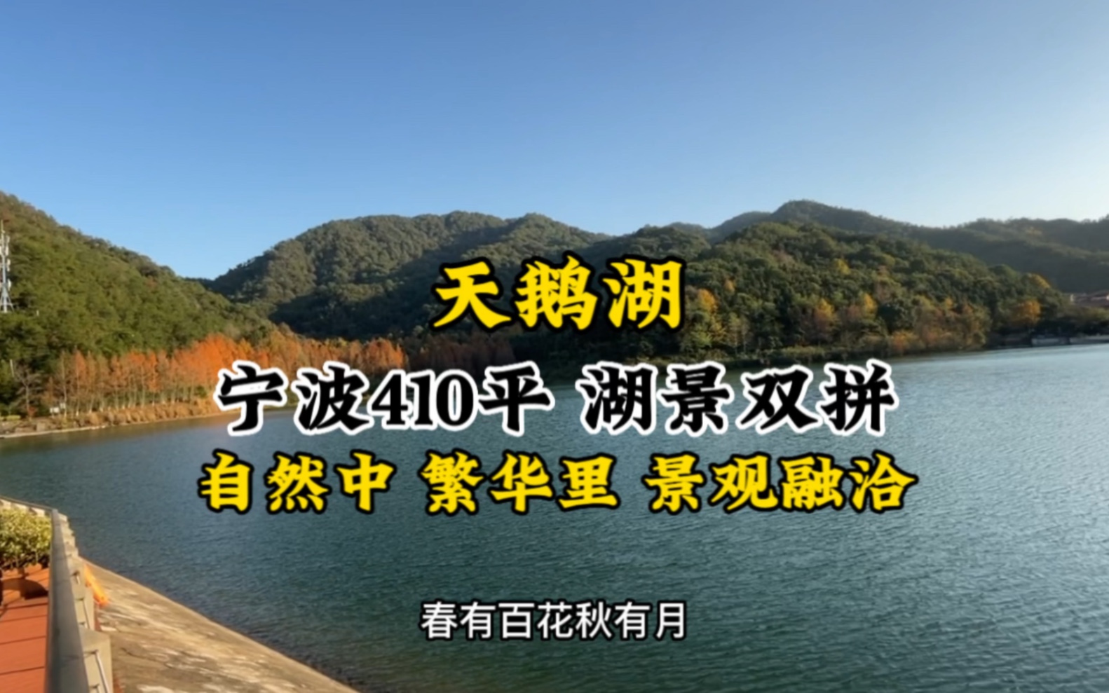 宁波410平湖景别墅 小区自带园林景观 中心湖泊 你会喜欢吗哔哩哔哩bilibili