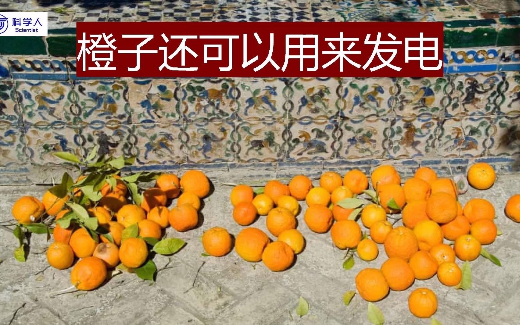 橙子还可以用来发电