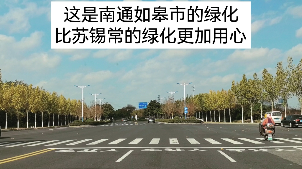 这是南通如皋市的绿化,是不是比苏锡常绿化更加用心?哔哩哔哩bilibili