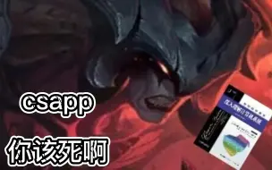 Download Video: csapp,你该死啊！！！