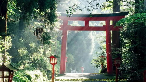 元气少女缘结神| 治愈向』♬上滨之吻三重神殿○ Kamisama Kiss Mikage