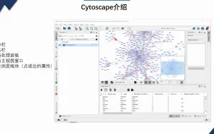 Скачать видео: cytoscape之网络图绘制