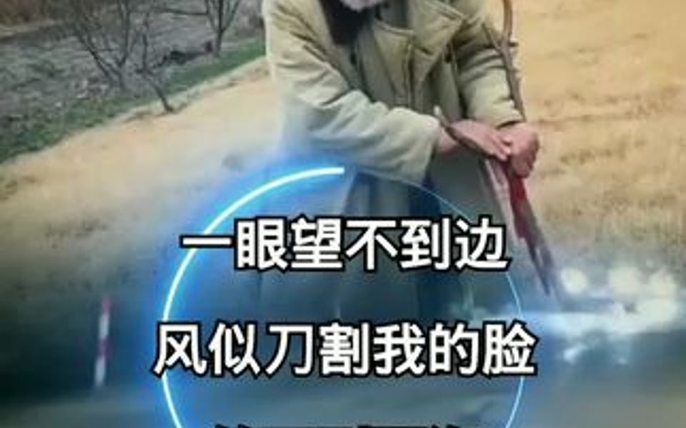 [图]还记得你答应过我，不会让我把你找不见，可你跟随那南归的候鸟飞的那么远……