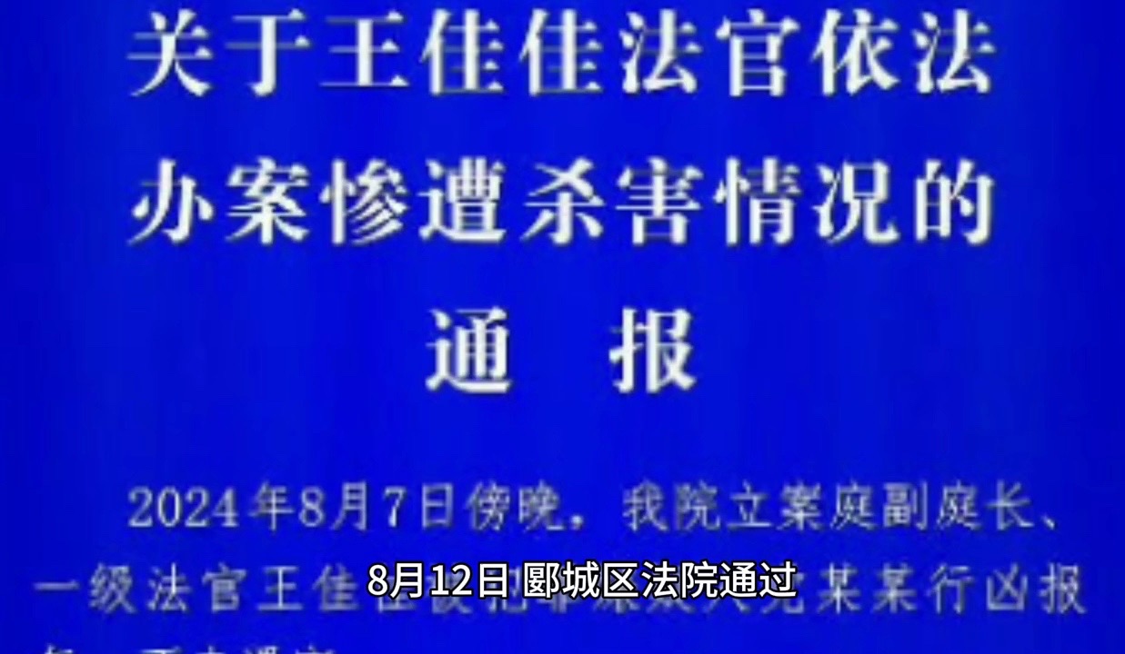 河南漯河郾城区法院通报:王佳佳法官依法办案惨遭杀害!哔哩哔哩bilibili