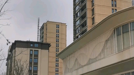 合肥滨湖兰园,网友神评论:外立面
