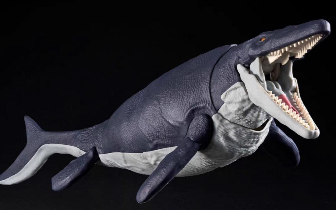 此cang老师 非彼cang老师 万代拼装沧龙模型介绍(带骨架)