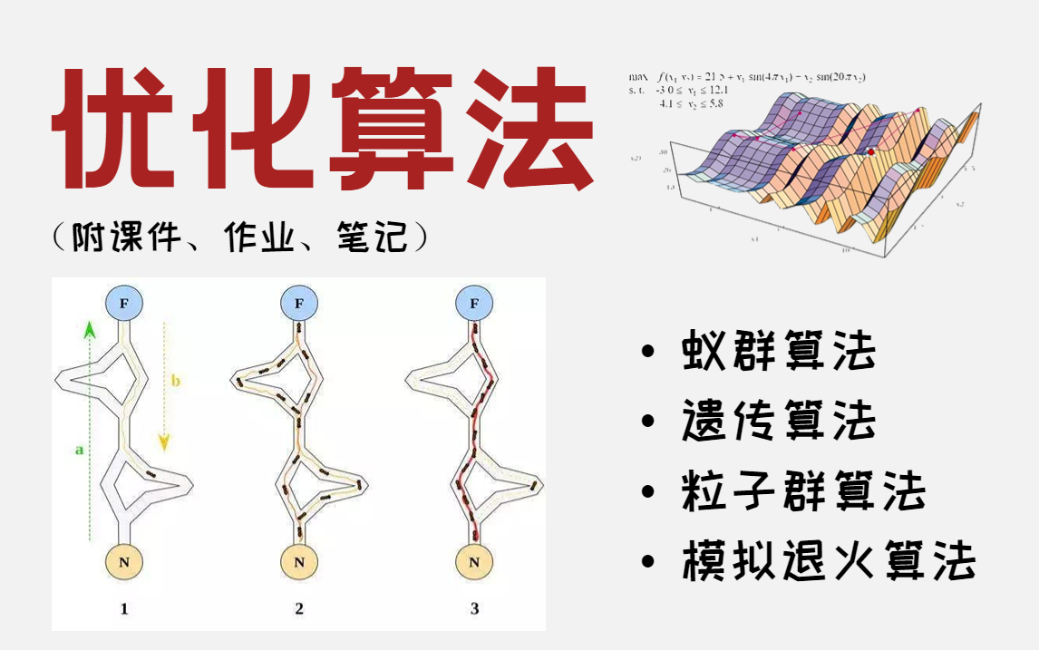 何为最优路径?计算机大佬三小时精讲蚁群、遗传、粒子群等优化算法,连草履虫都能看懂系列!哔哩哔哩bilibili