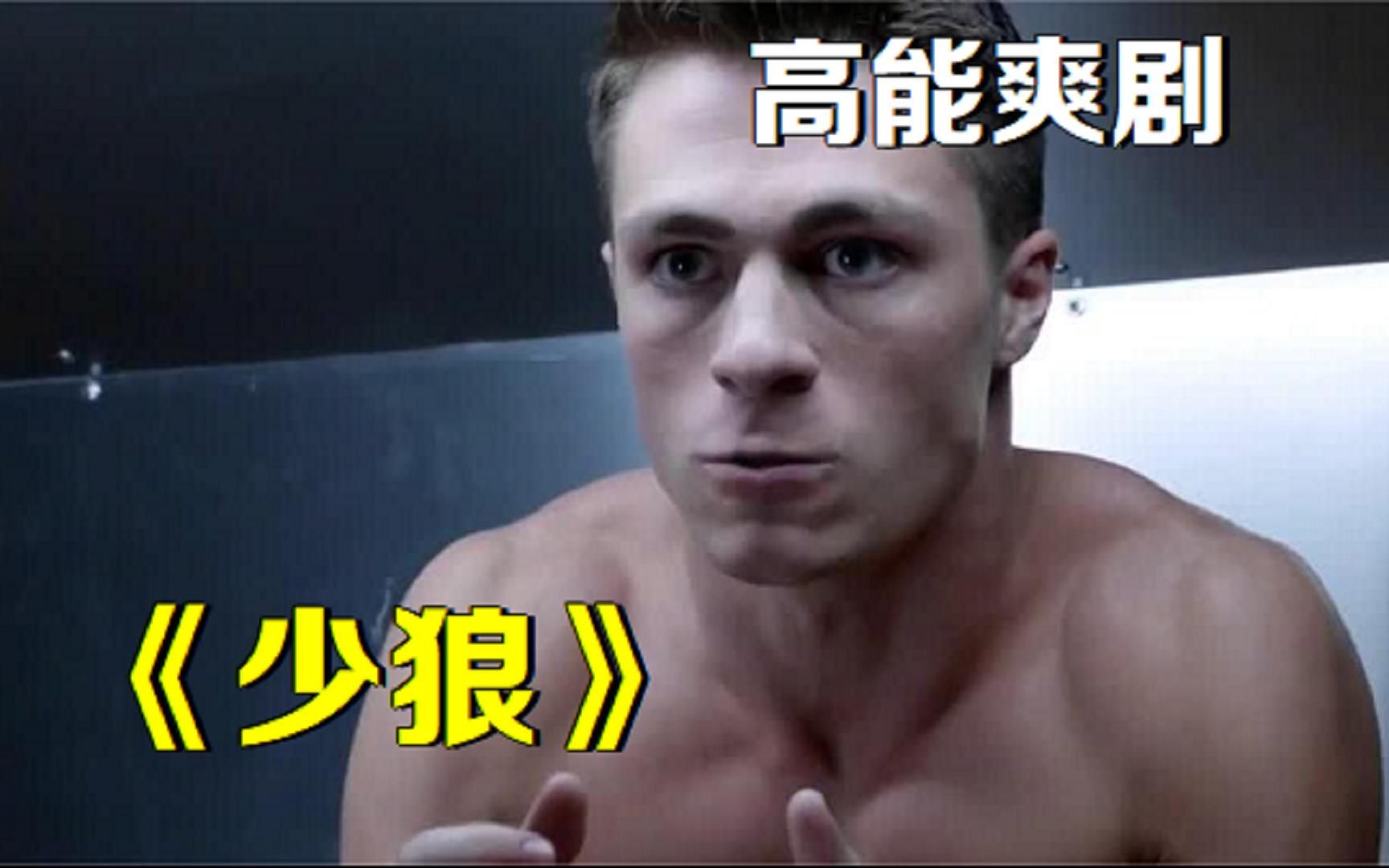 一口气看完高分爽剧《少狼》,超长完整版解说,一次看个过瘾