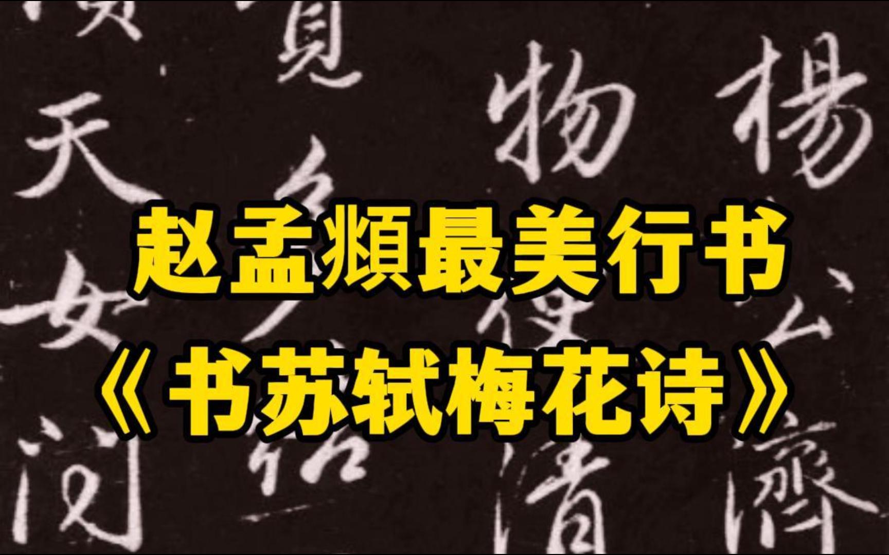 赵孟頫60岁时书写的苏轼的诗《再和杨公济梅花十绝》,是他最美行书之一哔哩哔哩bilibili