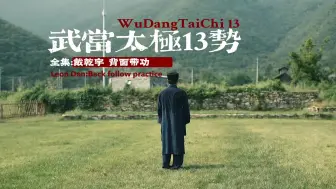 Download Video: 武当戴乾宇三丰太极13势背面带功跟练领练版