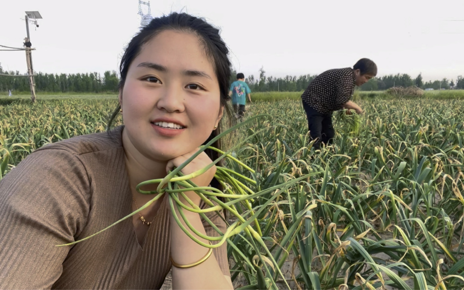 [图]一百多亩蒜苔不要了免费抽，婆媳俩人组团去，一会抽了好几斤，真爽