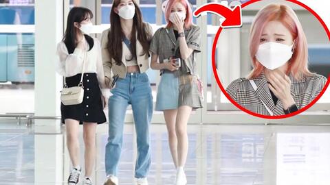 Izone 组合解散后成员可能去向梳理 中字 哔哩哔哩 つロ干杯 Bilibili