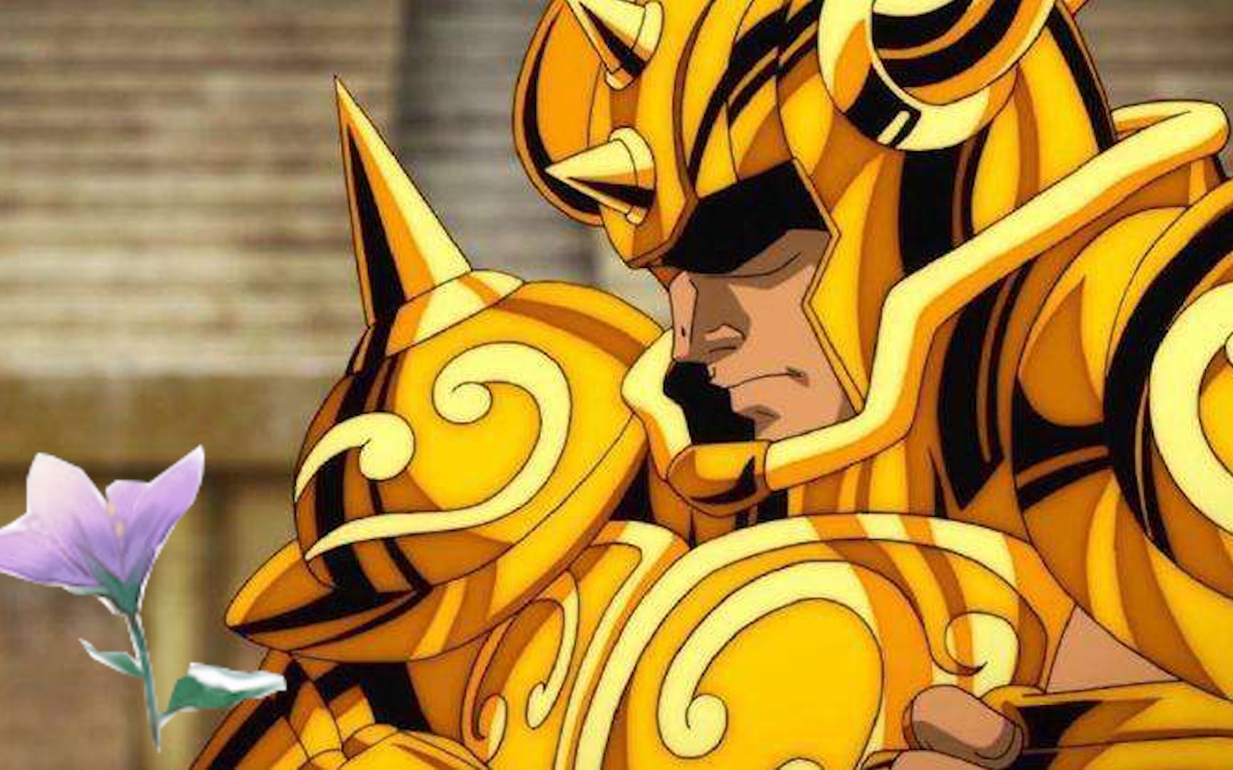 【金牛宫】那朵花,我好像在哪看过.