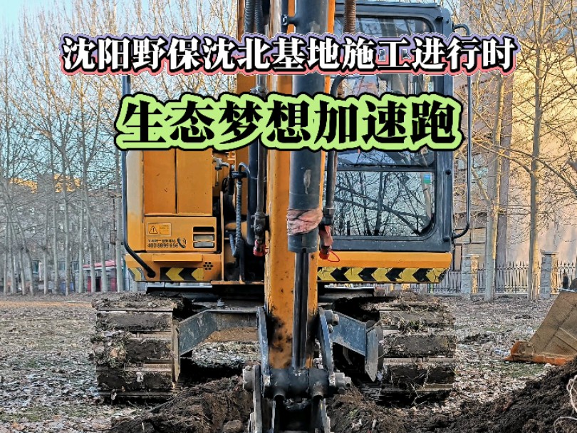 沈阳野保野化训练基地是我市第一个大型野化训练场地,投入使用后将大大提升我市野生动物被救护后放归自然的生存能力#沈阳野保 #野生动物救护哔哩哔...