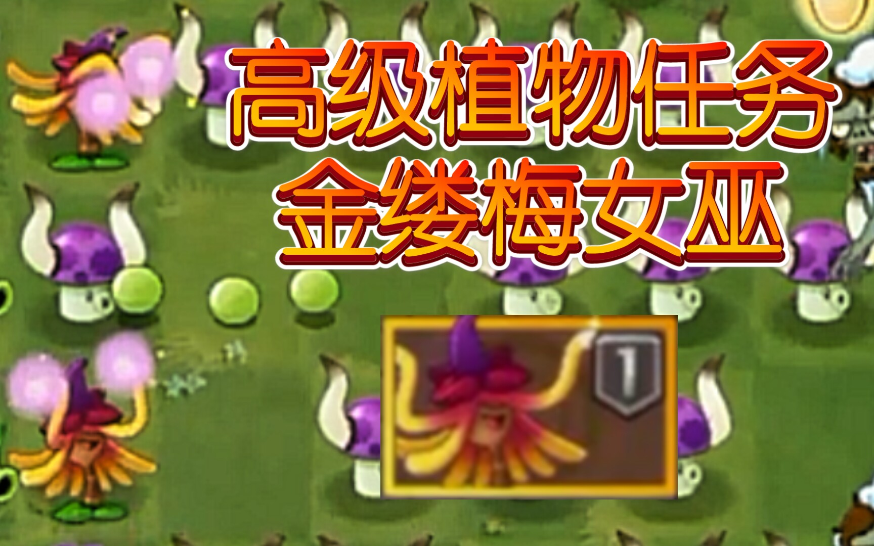 pvz2中文版高级植物任务金缕梅女巫雱雱