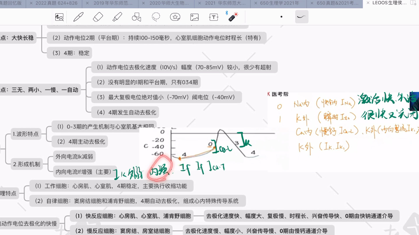 自律细胞之窦房结动作电位特征哔哩哔哩bilibili