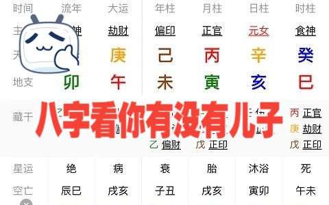 八字看子女?看你有没有儿子?哔哩哔哩bilibili