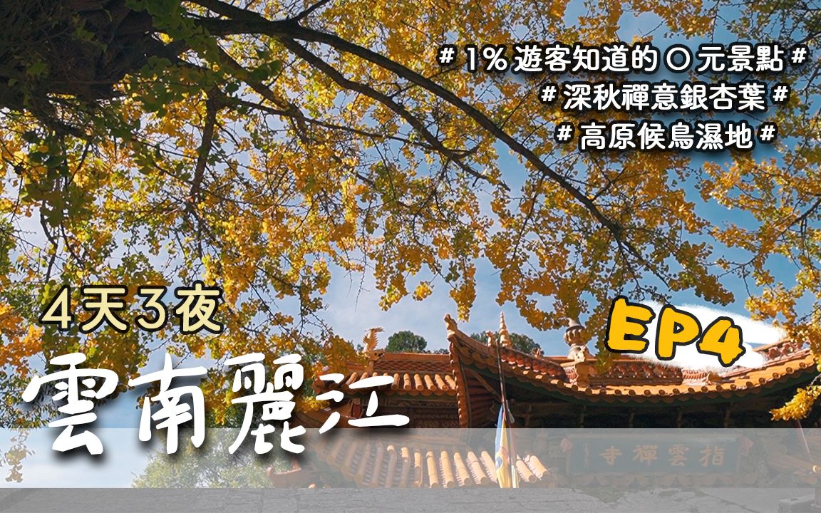 【云南丽江4天3夜Vlog】EP4完结篇只有1%游客知道的0元景点?竟然也是超美不打折,深秋禅意【指云寺】看银杏叶,闲逛放空在【拉市海】【文笔水库...