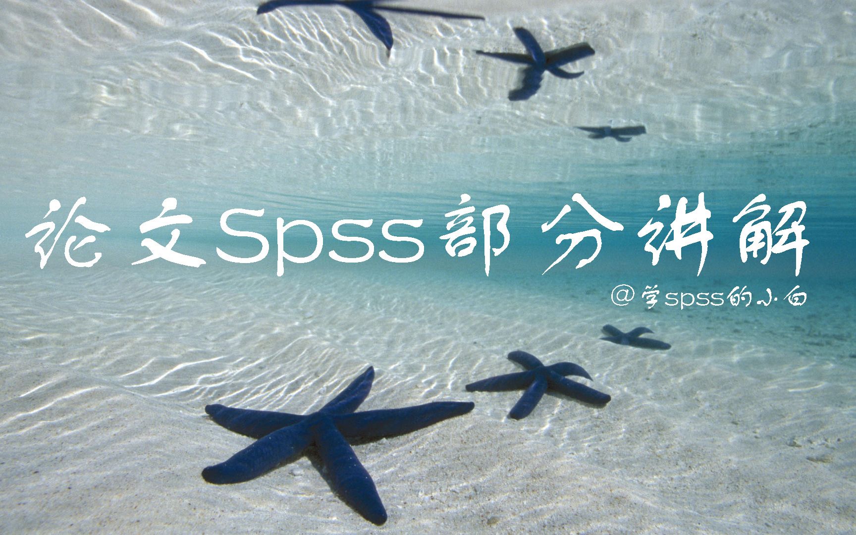 Spss调查问卷多选题分析及三线表结论撰写论文哔哩哔哩bilibili