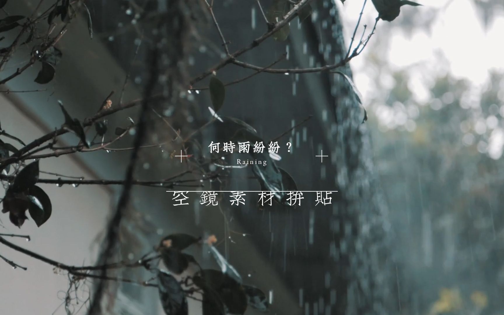 [图][无版权空镜素材超长合集]“何时雨纷纷”Raining·3（雨/清明/澄澈）