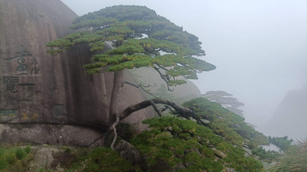 《黄山之旅》中国安徽ⷮŠ黄山:黄山名胜风景区哔哩哔哩bilibili