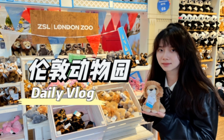 Vlog|伦敦动物园哔哩哔哩bilibili