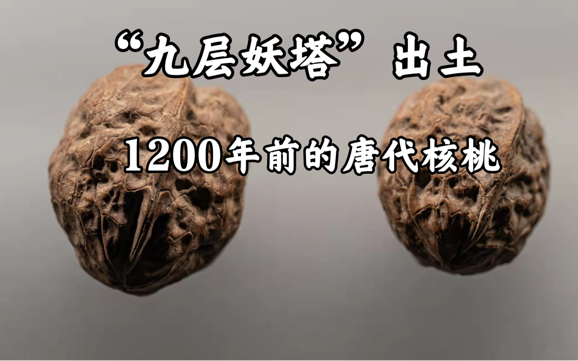 青海“九层妖塔”出土1200年前的唐代核桃哔哩哔哩bilibili