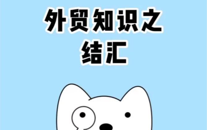 外贸知识之结汇哔哩哔哩bilibili