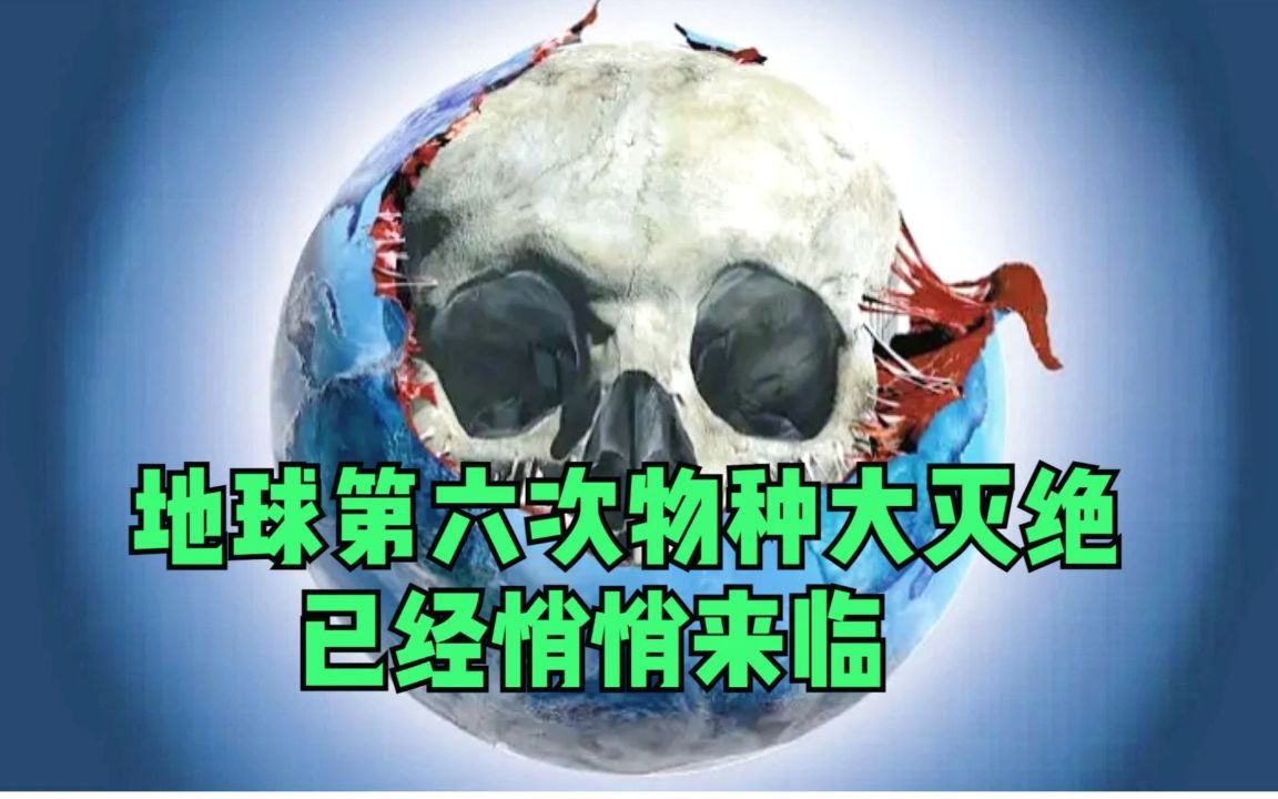 科学家:地球第六次物种大灭绝可能悄悄来临,大家要保护好地球!哔哩哔哩bilibili