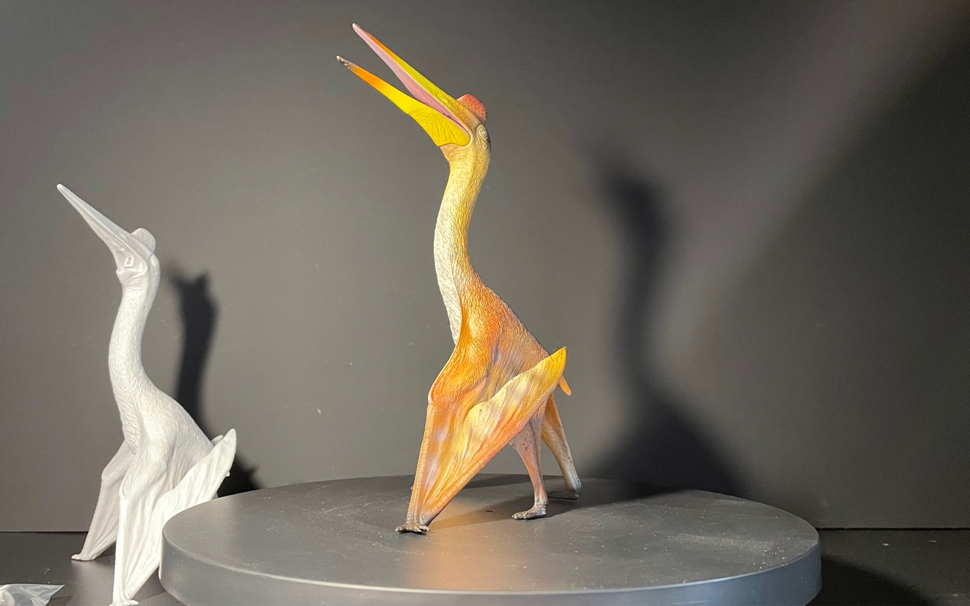 【grtoys好龙谷】科学复原模型【风神翼龙】展示留念