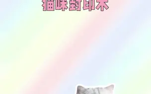 下载视频: 猫咪封印术