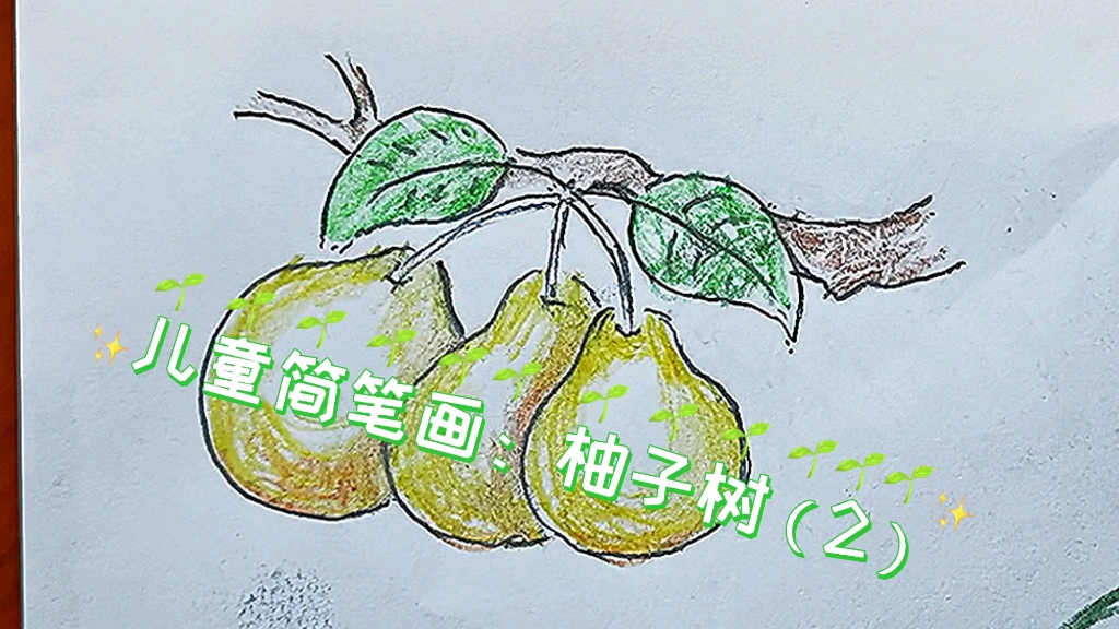 柚子树图画图片