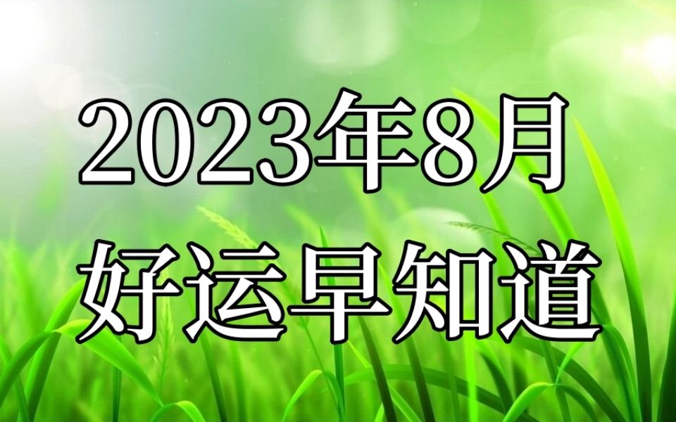 2023年8月,好运早知道哔哩哔哩bilibili