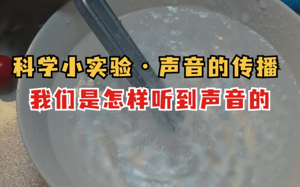 挑战100个科学小实验|No.3声音的传播ⷦˆ‘们是怎样听到声音的ⷮŠ声音的强弱ⷮŠ声音的高低哔哩哔哩bilibili