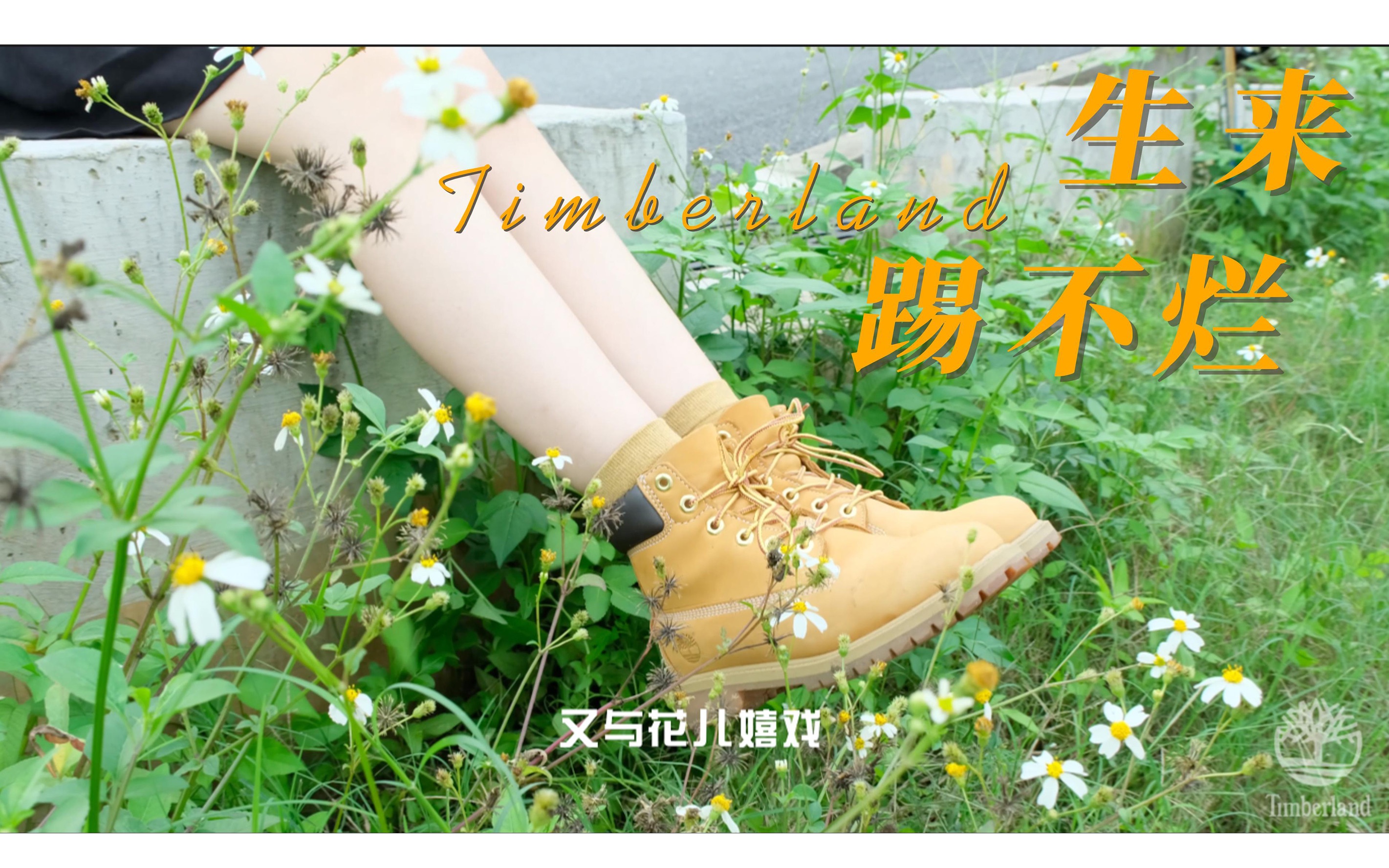 【踢不烂Timberland】穿不坏的鞋?你穿上时才有“踢不烂”,而我只叫Timberland!哔哩哔哩bilibili