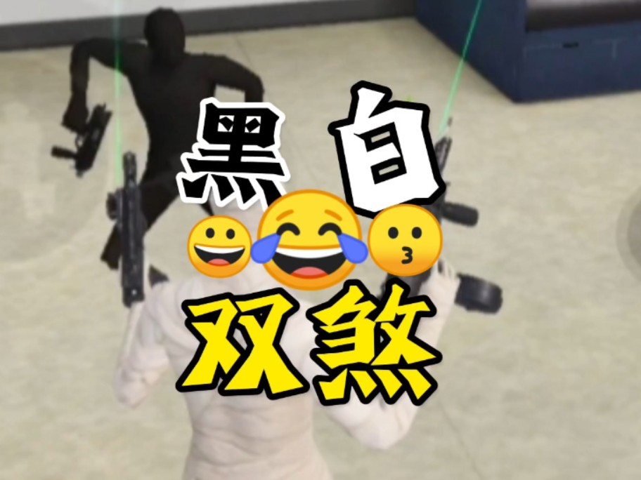 黑白双煞组合