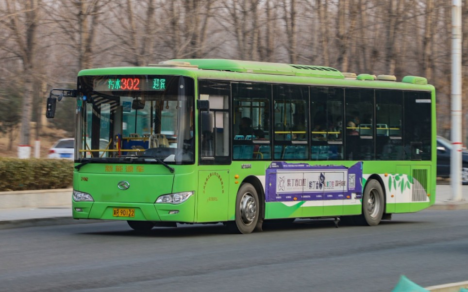 【三河公交】302路金混颤抖神车