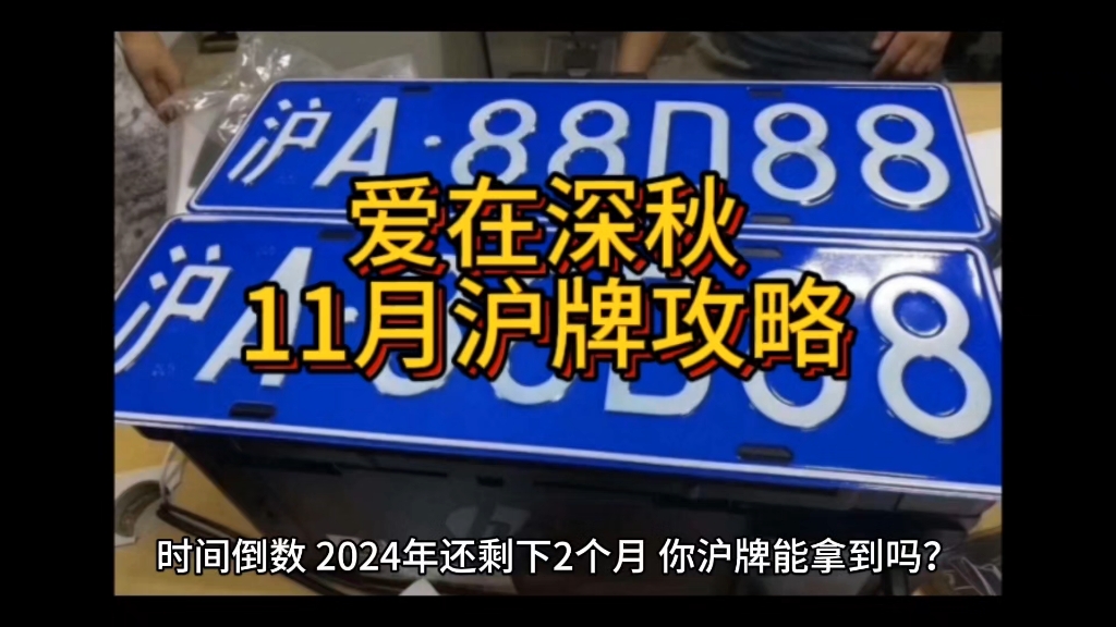 爱在深秋!2024年11月沪牌攻略,拍牌技巧哔哩哔哩bilibili