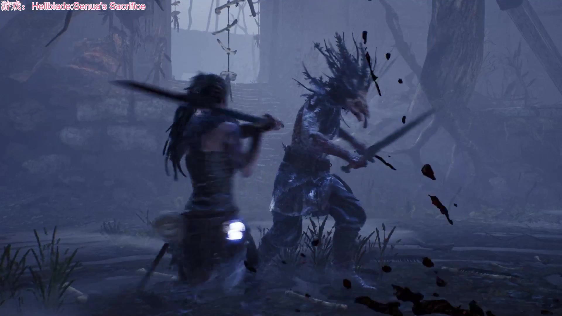 【小凫花】Hellblade:Senua's Sacrifice地狱之刃:加速了也漫长的第一个boss战,我太菜了TvT哔哩哔哩bilibili