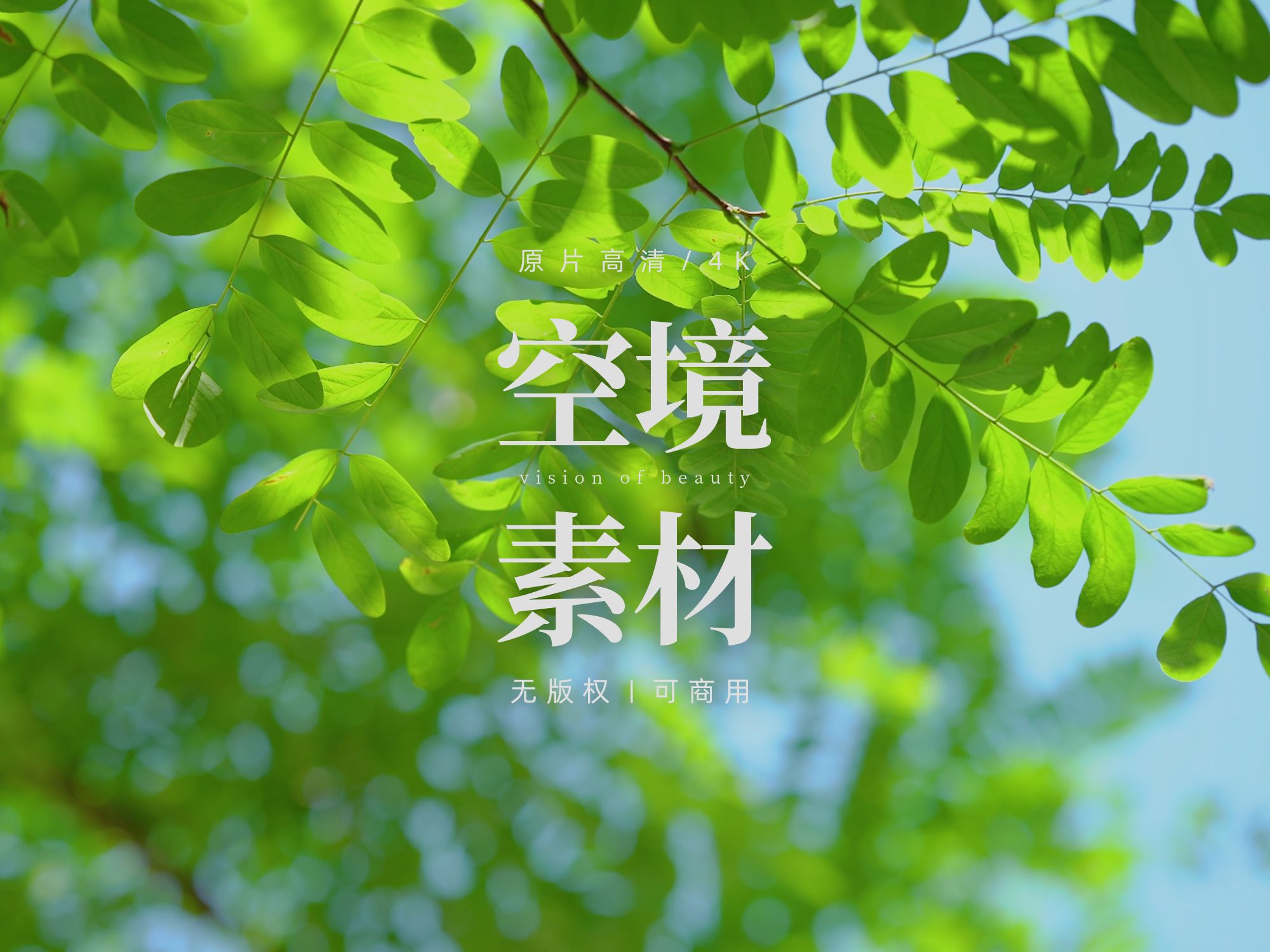 [图]【无版权空镜】Summer green